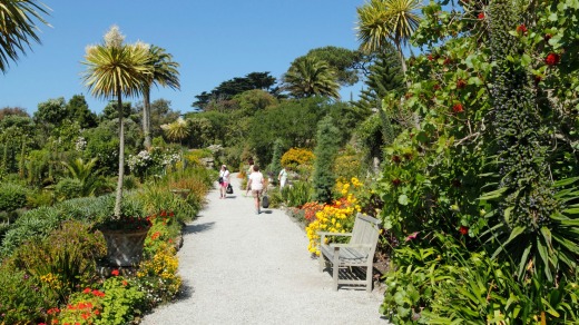 Tresco Abbey Gardens on the Isles of Scilly, Cornwall.