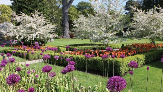 Bodnant Garden, Wales. Photo: Alice Kay