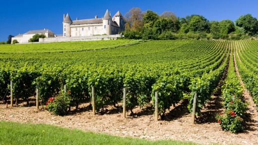 The beautiful Burgundy landscape.