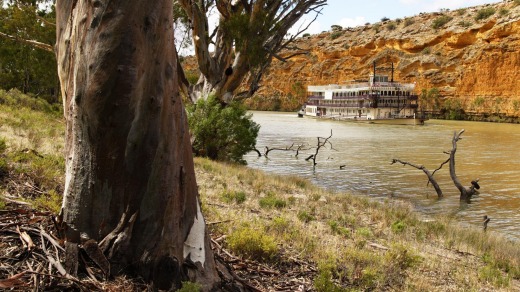 Take a cruise down the Murray River on the small-ship paddle-wheeler Murray Princess.