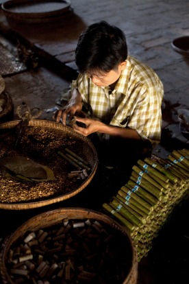 Man makes cigars in Pakokku Town, Bagan, Myanmar.