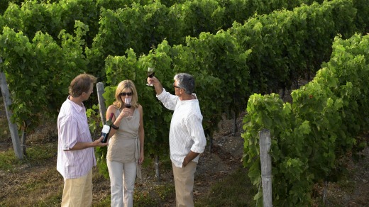 On a vineyard tour.