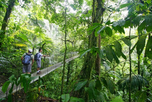 COSTA RICA: No surprise that Central America's noted eco-friendly destination makes for terrific wildlife cruising, ...