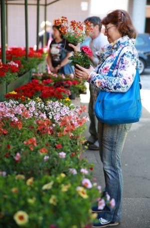 Flowers at a city market.