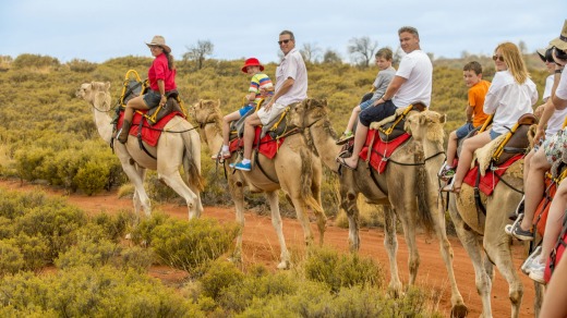 Uluru Shindig camel ride.