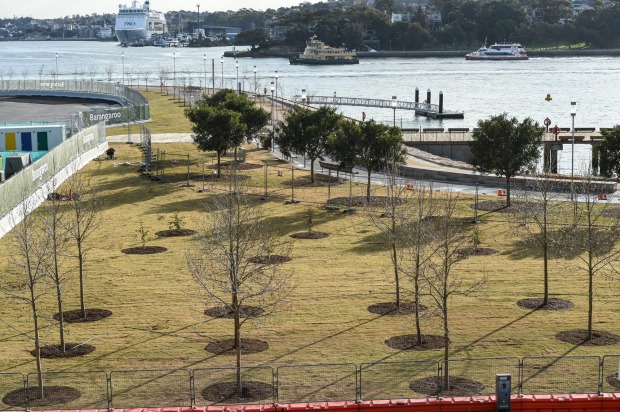 Naturalistic headland: Barangaroo Park.