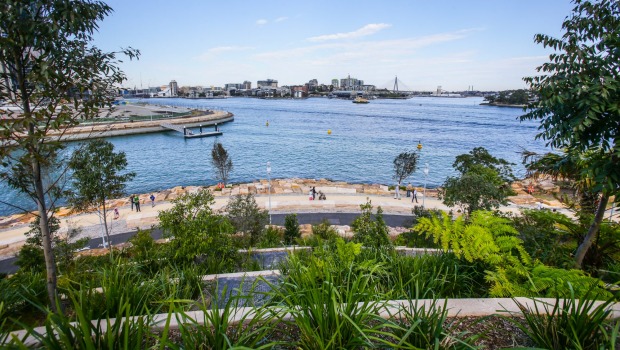 Terraced gardens at Barangaroo Reserve.