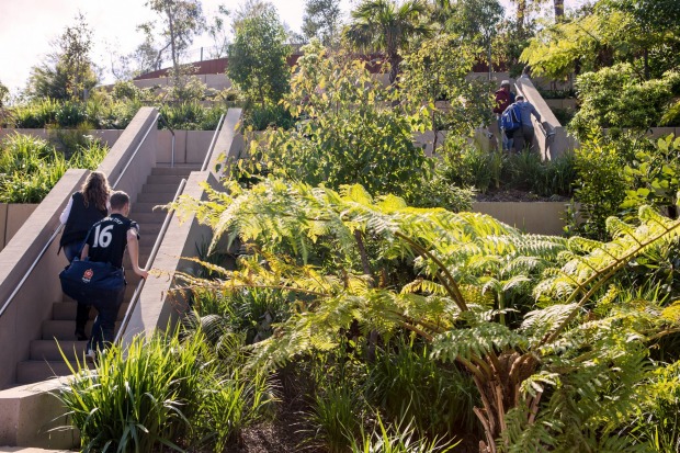 Barangaroo Point Reserve.