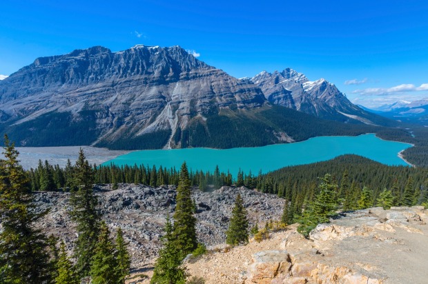 CANADIAN ROCKY MOUNTAINS, CANADA: Easily accessible by vehicle, it is a spectacular glaciated mountain landscape capped ...