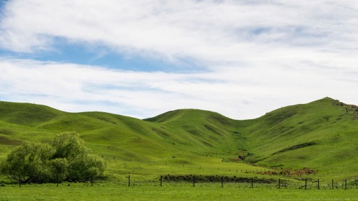 Have I died and gone to heaven, or is this just New Zealand?