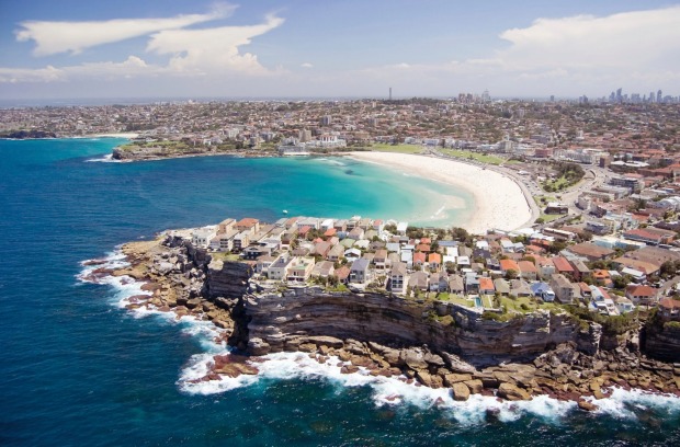 Bondi surely holds more thrills for visitors than Sydney's Fish Market.