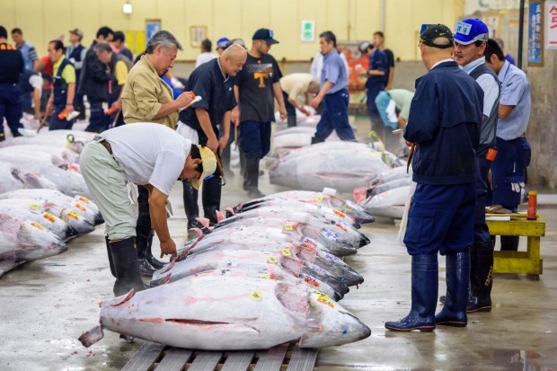 Tsukiji Fish Market in Tokyo.