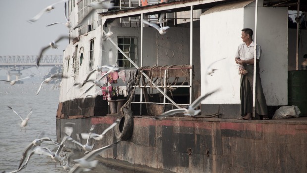 Feeding time for the gulls.