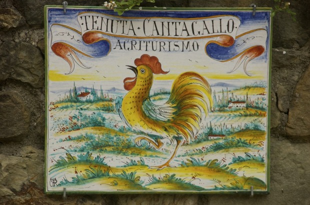 CANTAGALLO: Perched on a cypress-striped hill overlooking the little town of Montelupo, Cantagallo (rooster in Italian), ...