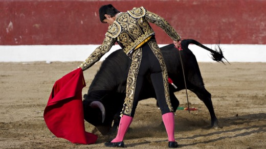 A bullfighter at work in the ring.