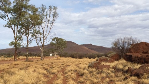 Landscape around Ernabella.