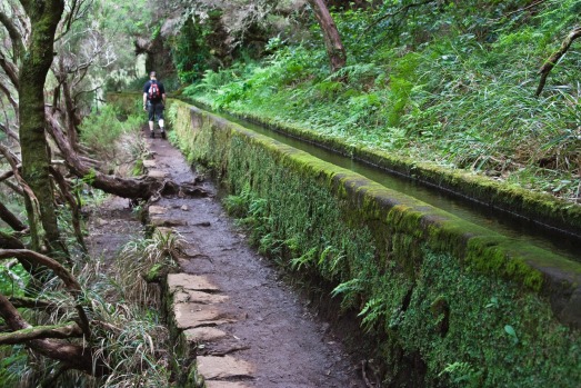 LEVADA WALKS, MADEIRA: OK, perhaps Funchal, capital of Madeira, isn't one of the world's greatest cities. But when it ...