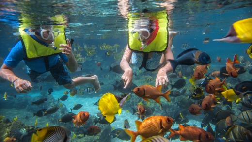 Rainbow Reef at Aulani, A Disney Resort & Spa.