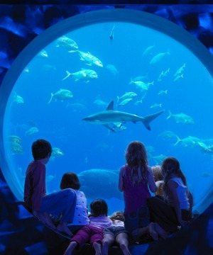 Atlantis, The Palm Kids Club.