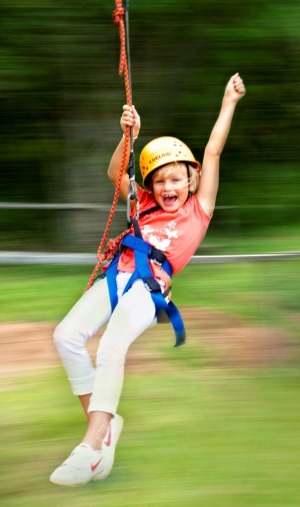 The flying fox at O'Reilly's Rainforest Retreat.