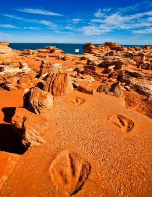 Casts of dinosaur footprints at Gantheaume Point.