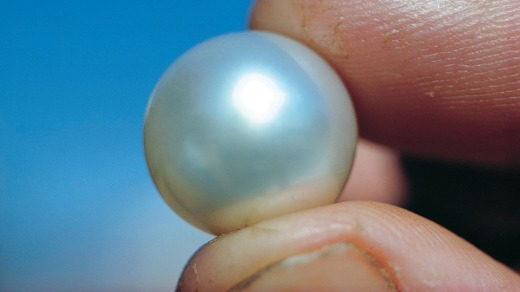 A Broome pearl.