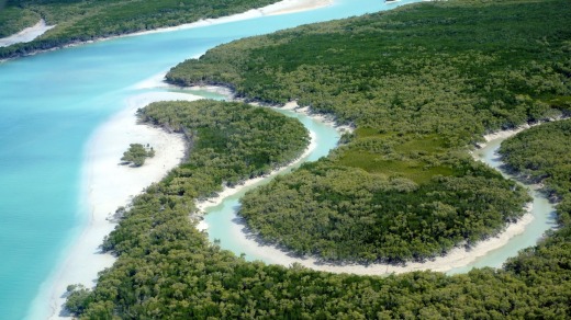 Mangroves and tidal creeks in Roebuck Bay, near Broome.