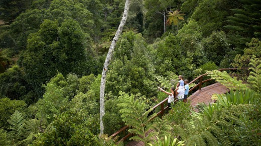 Nature on the doorstep: Enjoy a walk through national parks, Norfolk Island.