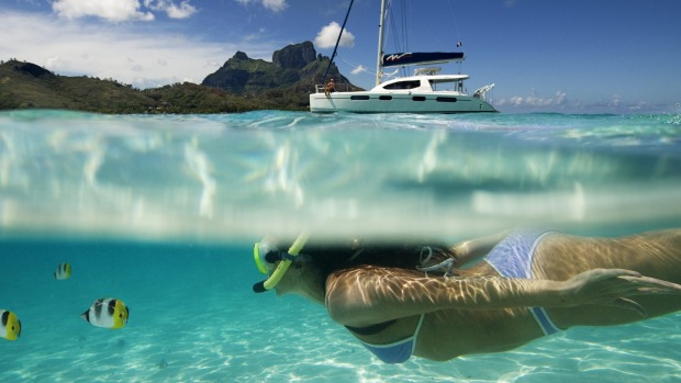 Still waters: Life above and below the sea is idyllic.