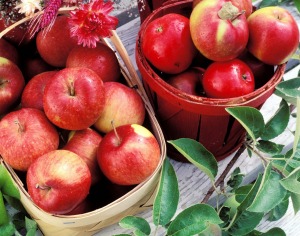 Fresh produce is a feature of Quebec city and surrounding villages.