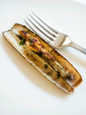 Solitary steamed razor clam.