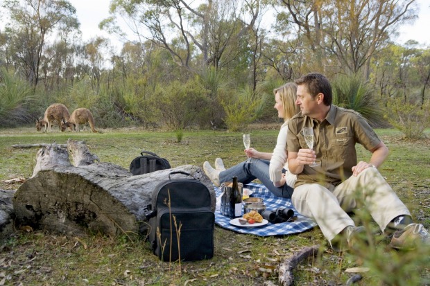 The Louise: Breakfast with the Kangaroos delivers exactly what it promises. In a pretty clearing amid dense bushland, ...