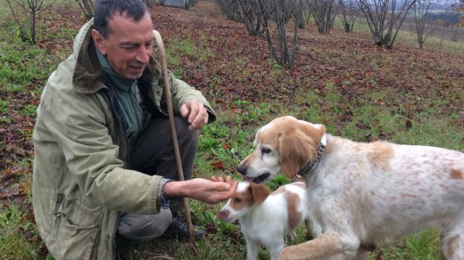 Giani and Lila truffle hunting.