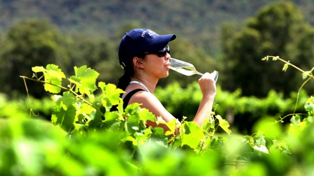 Sampling the produce in the Hunter Valley.