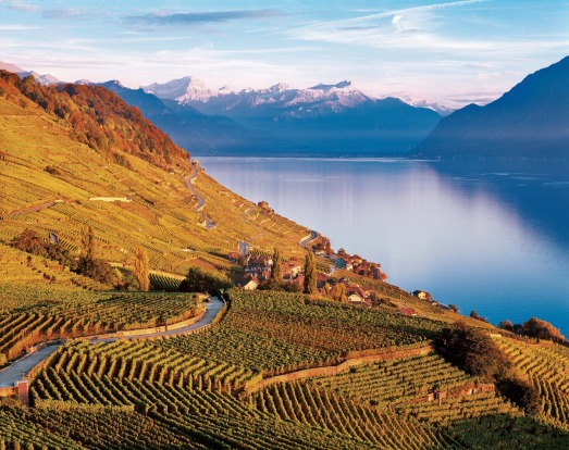 LAKE GENEVA, SWITZERLAND: Switzerland isn't often associated with wines, but that's because they're nearly all consumed ...