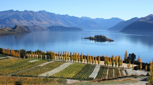 The view across Lake Wanaka from Rippon Vineyard, New Zealand.