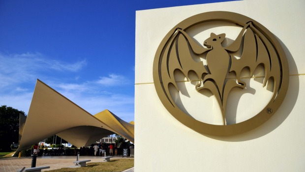 Bacardi headquarters in Puerto Rico. The original distillery was overrun by fruit bats drawn to the scent of fermenting ...