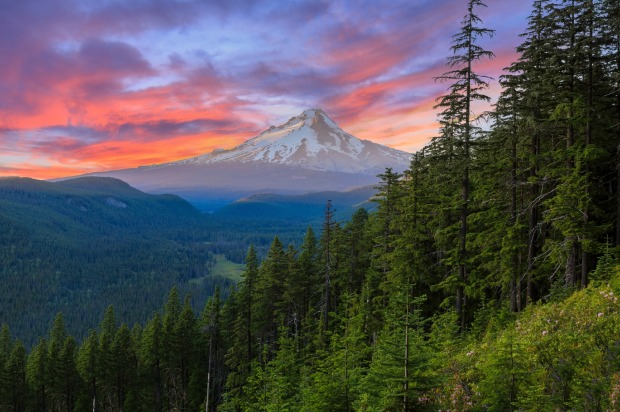 Mt. Hood on a bright, colourful sunset during the summer months.