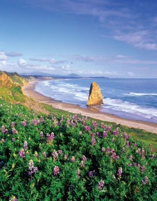 Pacific coast, Oregon.