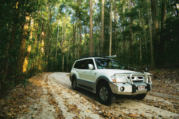 Fraser Island forest.