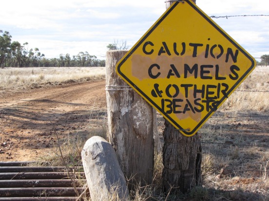 Charlotte Plains, Cunnamulla. One sign fits all animals great and small in Cunnamulla in outback Queensland – you can't ...