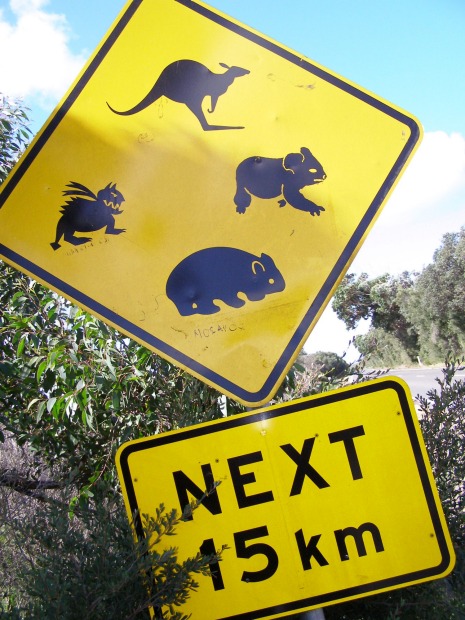 Cape Conran Coastal Park. There's all sorts of weird creatures about, if you believe this roadside warning near the ...
