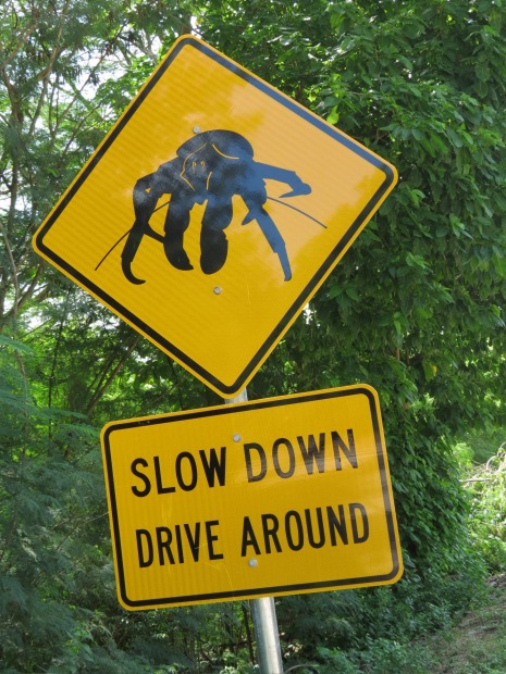 Christmas Island. It might look like a scary six-legged space monster, but what this sign, found on all the roads of ...