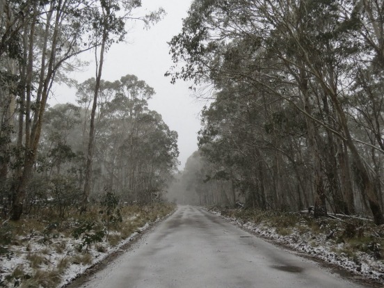 Barrington Tops Forest Road: Gloucester to Scone: The best shortcuts are more than just a quick way to get from A to B, ...