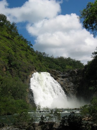 The Bloomfield Track: Cairns to Cooktown: You'll need a 4WD for this (in)famous short cut through the Daintree ...