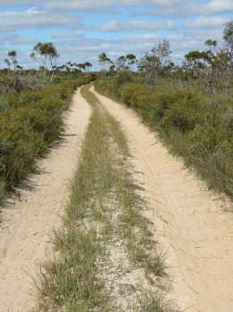 Balladonia Track: the Nullarbor to Esperance: If you don't mind a bit of rugged deep sandy adventure the rough 4WD track ...