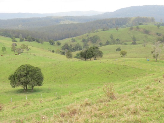 Lions Road: across the Border Ranges: Another fabulously scenic shortcut is the Lions Road, a privately maintained ...