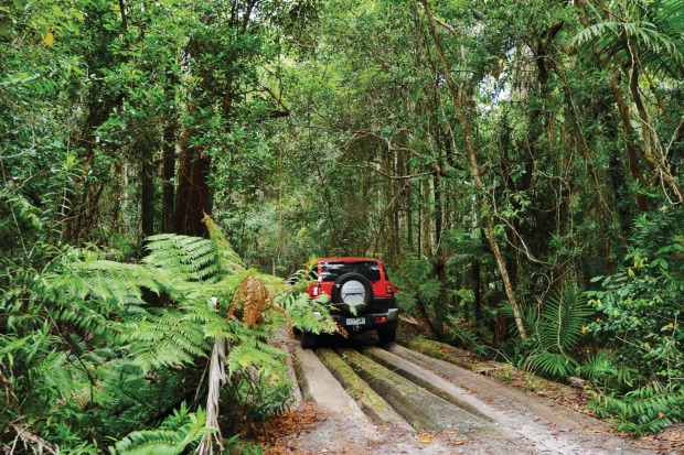 Inland on Fraser Island.