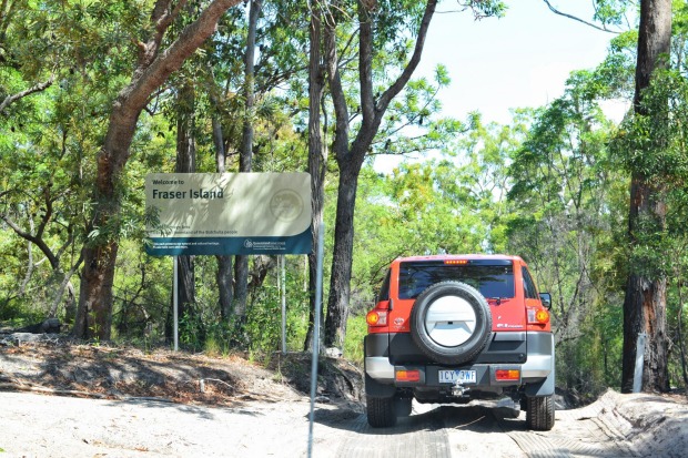 Heading inland, Jurassic Park convoy style.