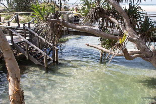 Eli Creek's crystal clear water.